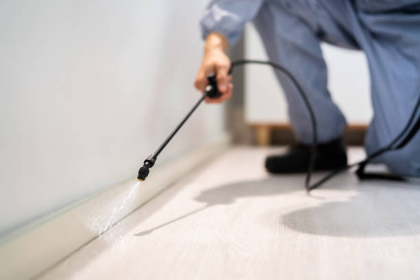 Licensed Mosquito Control service in Goldsboro, NC - Show Me Pest Control