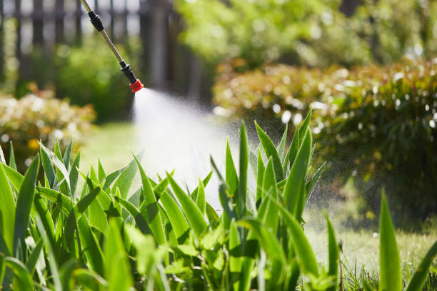 24/7 Emergency Mosquito Control experts in Goldsboro, NC